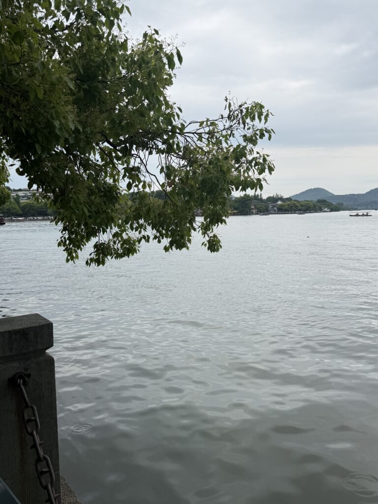 西湖边一个平静的下午，水、山和垂下来的枝叶。