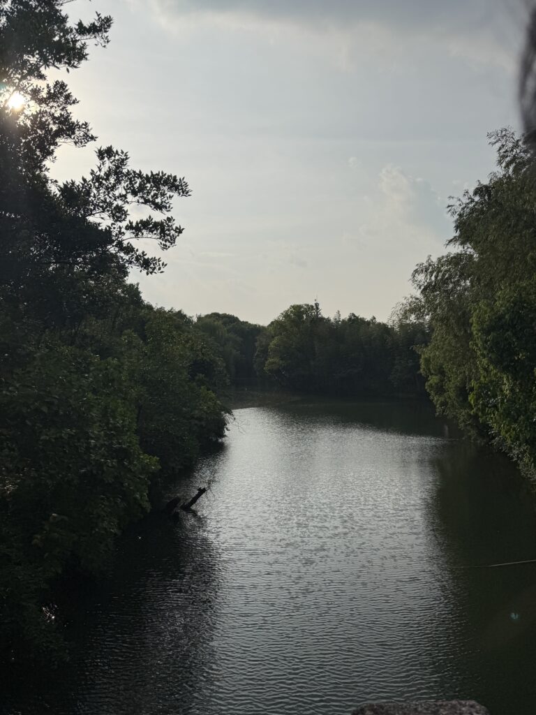 西湖附近更暗一点的河景，阳光从树间漏下来。