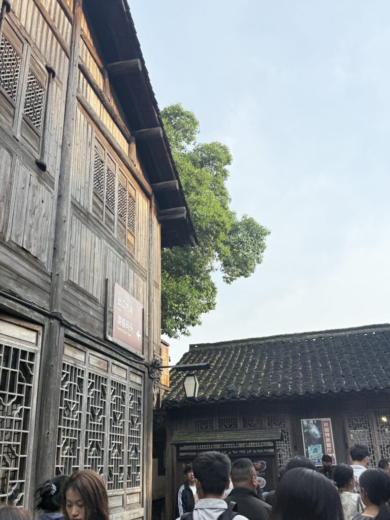 走进乌镇更深处之前，先看见的木墙和瓦顶。