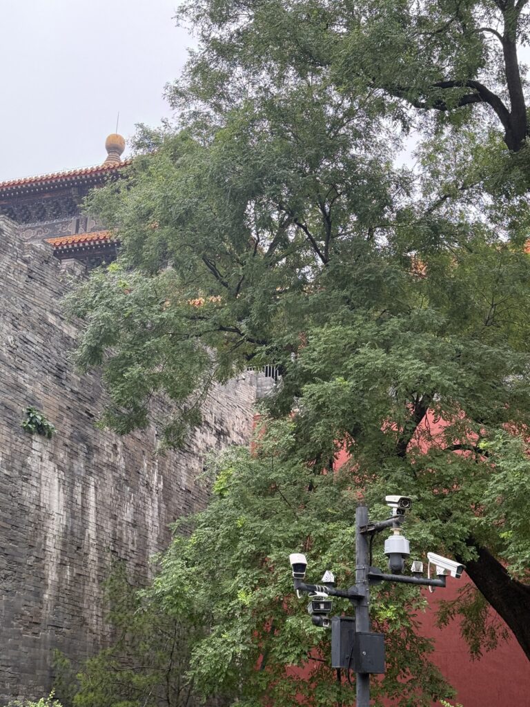雨后的宫墙和绿树。